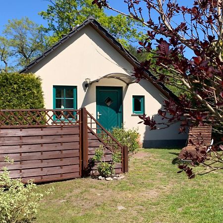 „Rentmeisterhaus Basedow“ Basedow  Exteriér fotografie