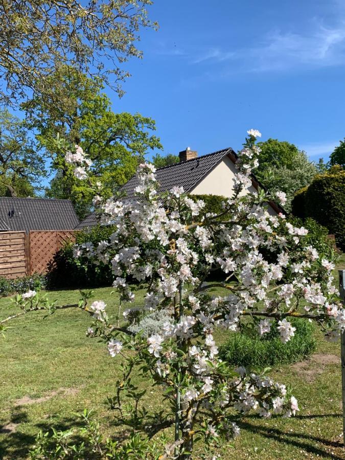 „Rentmeisterhaus Basedow“ Basedow  Exteriér fotografie